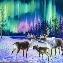 Схема вышивки «Северное сияние»