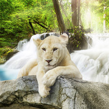 Схема вышивки «Львица»