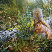 Схема вышивки «№1433480»