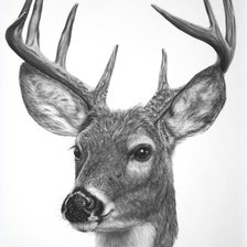 Схема вышивки «№1433716»