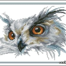Схема вышивки «Взгляд филина»