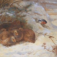 Схема вышивки «№1433912»