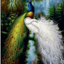 Схема вышивки «паун»