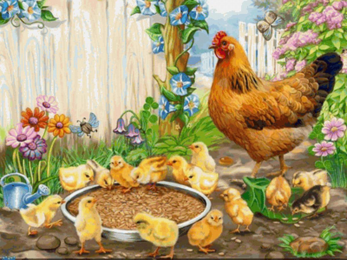 птичий двор - птицы, пейзаж, природа - предпросмотр