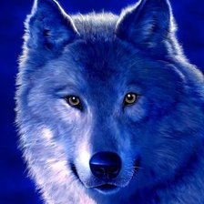 Схема вышивки «волк»