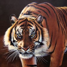 Схема вышивки «№1435377»