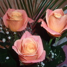 Схема вышивки «розы»