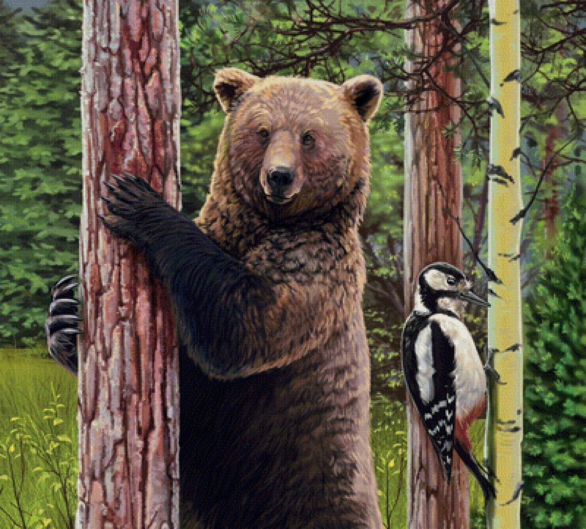 мир животных - предпросмотр