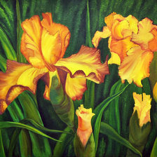 Схема вышивки «Жёлтые ирисы.»