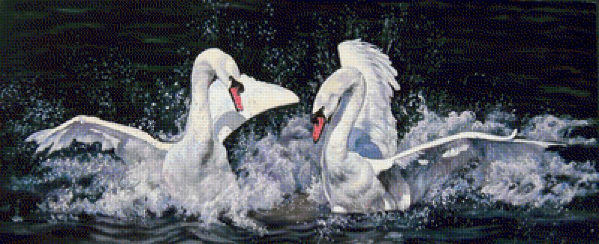 lebedi - предпросмотр