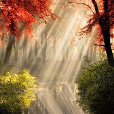 Схема вышивки «утро в осеннем лесу»