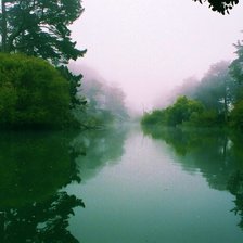 Схема вышивки «Природа»