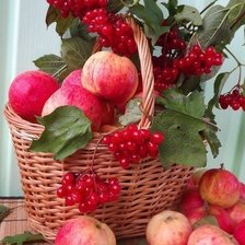 Схема вышивки «№1436291»