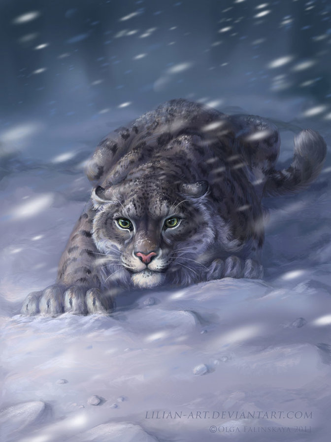 ирбис - барс, кошки, природа - оригинал