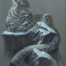 Схема вышивки «ирбис»