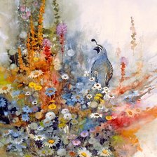 Схема вышивки «Morten E. Solberg, Калифорнийский перепел»