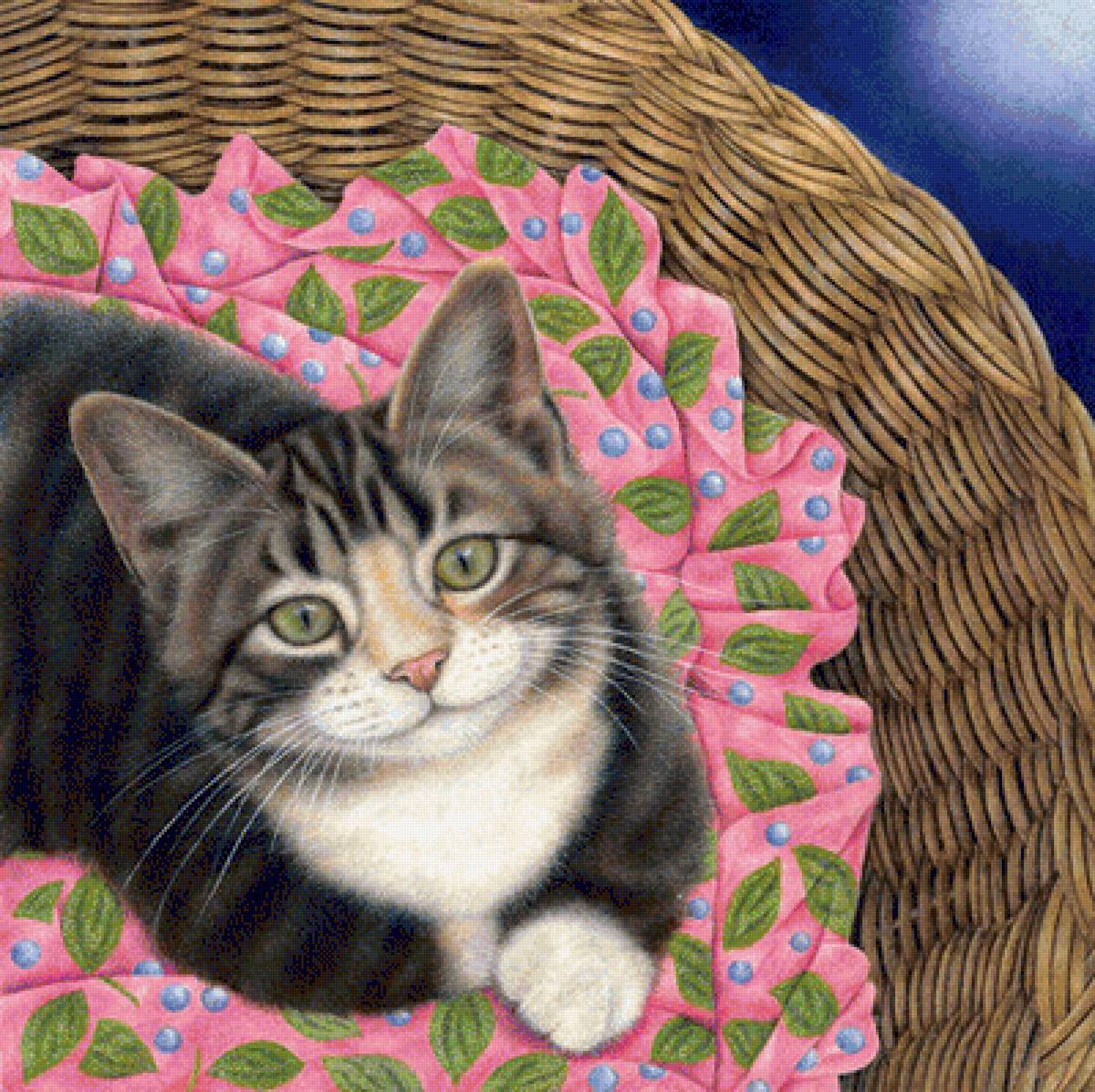 котик - кот, коты, котенок, котята - предпросмотр