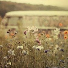 Схема вышивки «поле»