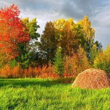 Схема вышивки «Деревенская осень»