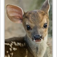 Схема вышивки «№1437782»