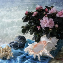 Схема вышивки «у моря»