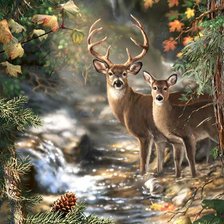 Схема вышивки «f.ekr»