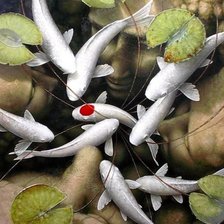 Схема вышивки «Карпы кои»