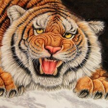 Схема вышивки «тигр»