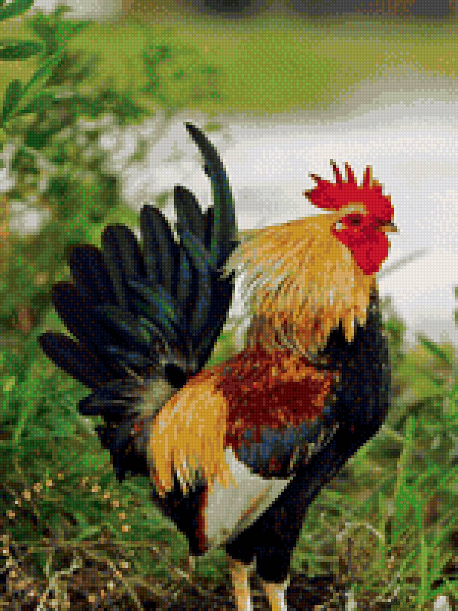 символ 2017 года - птицы - предпросмотр