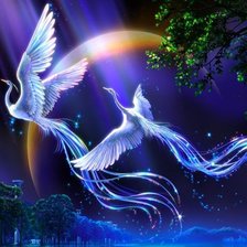 Схема вышивки «Сказочные птицы»