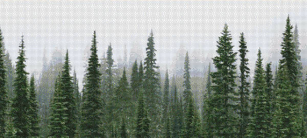 Лес - природа, ничего лишнего, лес, фото - предпросмотр