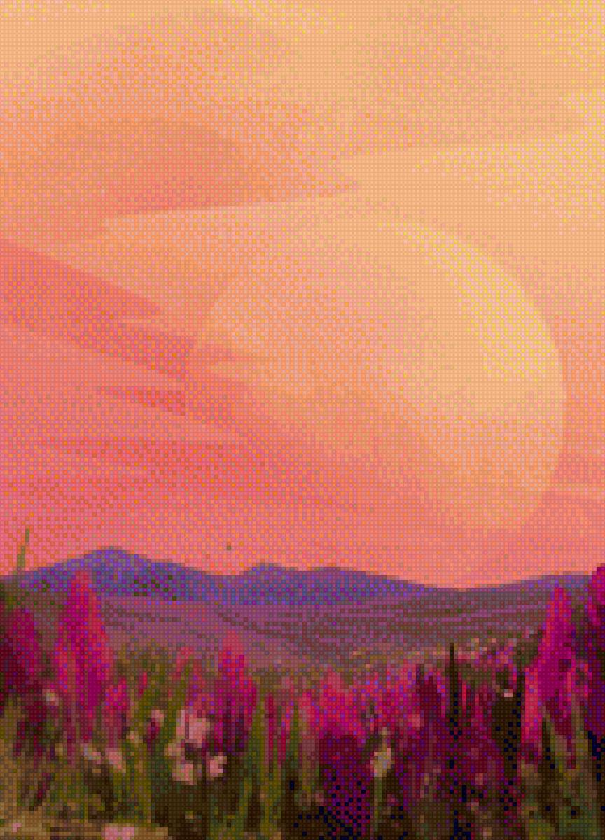 Ирисы на закате - ирисы, луг, пейзаж, закат, луна, природа, цветы - предпросмотр