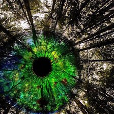 Схема вышивки «Лес»