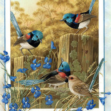 Схема вышивки «птички»