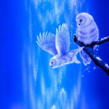 Схема вышивки «совушки»