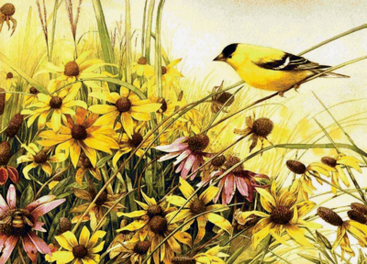 птичка - птицы - предпросмотр