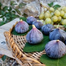 Схема вышивки «инжир»