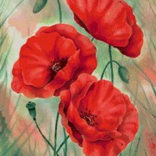 Схема вышивки «Маки»