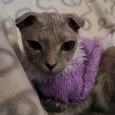 Схема вышивки «Даша 1»