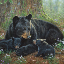 Схема вышивки «101-3»