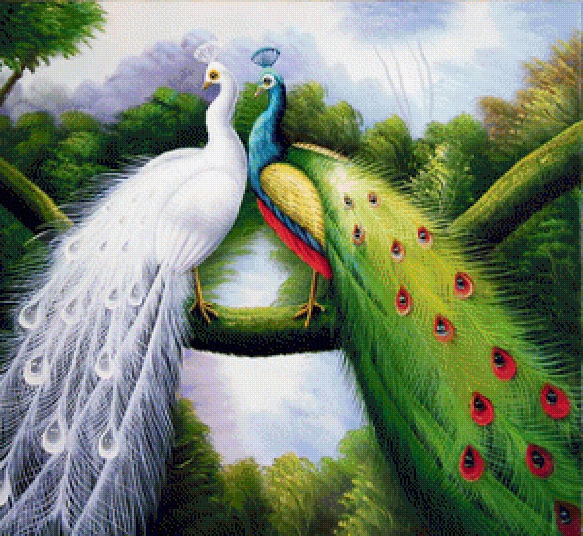 Павлины - птицы, павлины, райский сад - предпросмотр