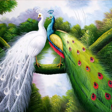 Схема вышивки «Павлины»