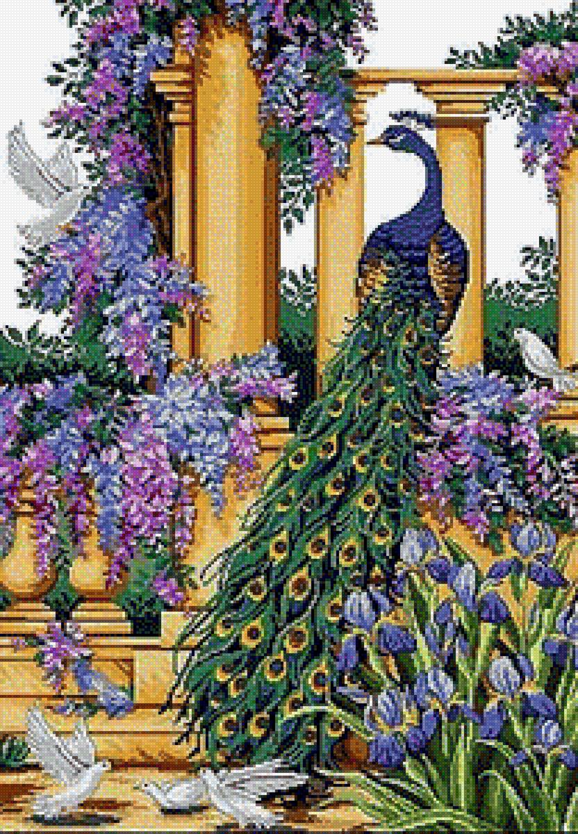 Павлин в райском саду - павлины, птицы, райский сад - предпросмотр