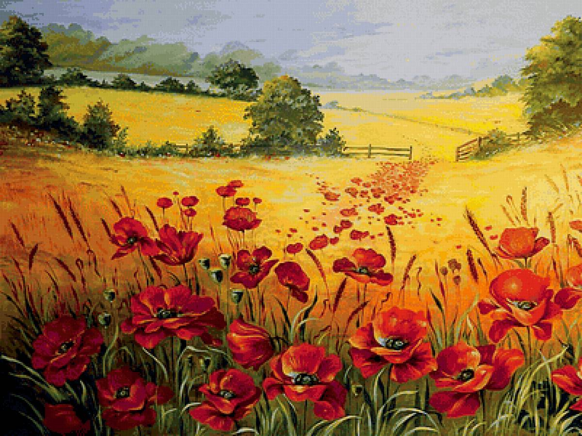 поле с маками - пейзаж - предпросмотр
