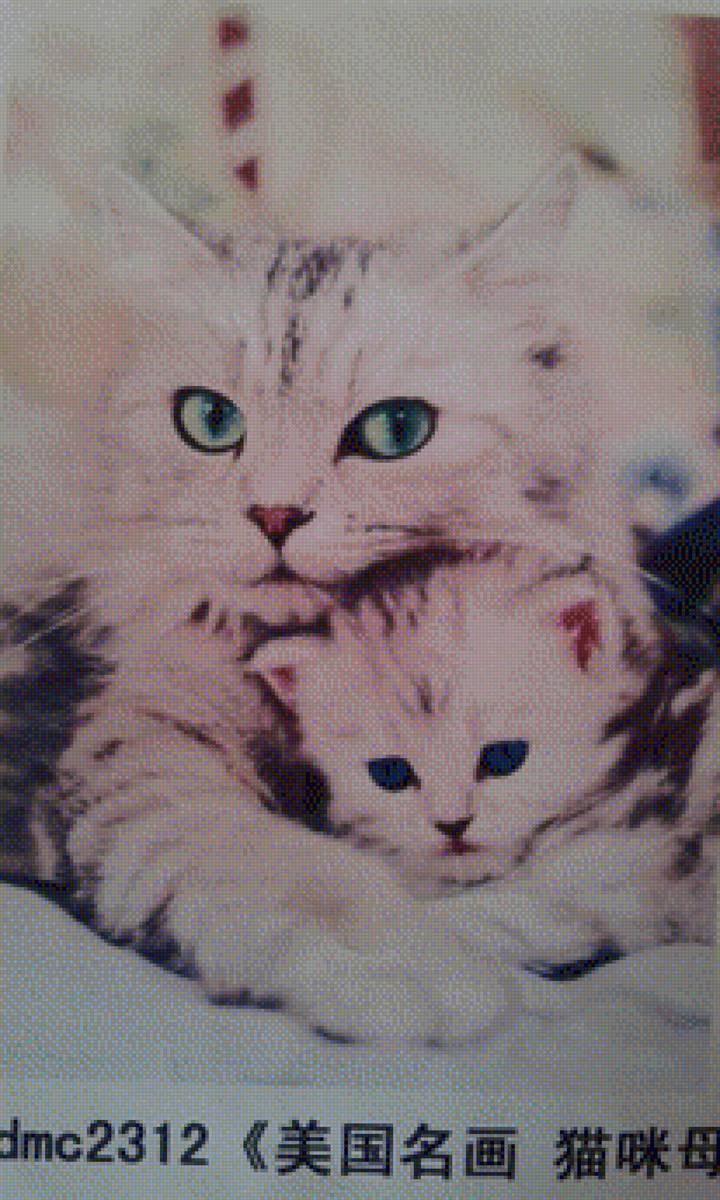 кошка с котенком - кошка, котенок - предпросмотр