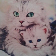 Схема вышивки «кошка с котенком»