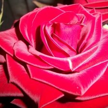 Схема вышивки «№1441554»