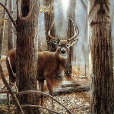 Схема вышивки «Олень»