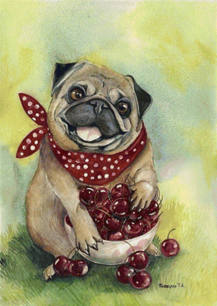 Песик - животные - предпросмотр