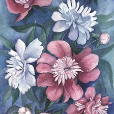 Схема вышивки «Пионы.»